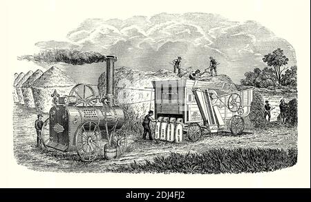 Eine alte Gravur einer Garrett ‘English’ Dreschmaschine angetrieben von einer Garrett Dampfmaschine in den 1800er Jahren. Es ist aus einem viktorianischen Mechanik der 1880er Jahre. Eine Dreschmaschine oder eine Dreschmaschine ist ein Stück landwirtschaftliche Ausrüstung, die Dreschen Getreide, Entfernen der Samen von den Stielen und Schalen. Es schlägt die Pflanze, um die Samen zu trennen. Hier werden die Samen auch sortiert und in Säcken mit Markierungen auf ihnen gesammelt (Schwanzmais, Samen, Sekundenmais, bester Mais). Männer stapeln die Stängel zu Heuhaufen. Richard Garrett & Sons, Leiston, Suffolk, England, war ein Hersteller von Landmaschinen und Dampfmaschinen. Stockfoto