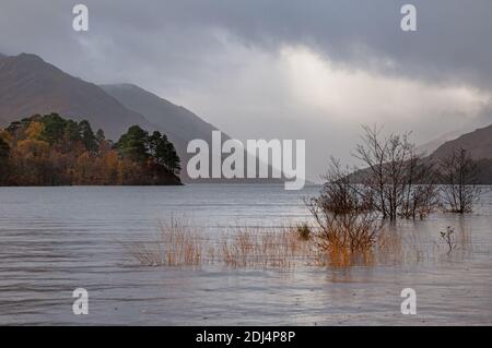 Loch Shiel an einem feuchten nebligen Herbstmorgen mit Blick über Seine überschwemmten Ufer Stockfoto