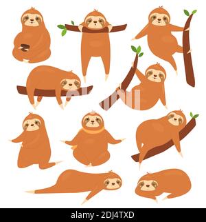 Sloths Vektor-Illustrationsset. Cartoon niedlich faul verschiedene Posen von Faultieren Charaktere Sammlung, lustige braune Tier schlafen auf tropischen Baum Zweig im Dschungel, hängen und schlafen isoliert auf weiß Stock Vektor