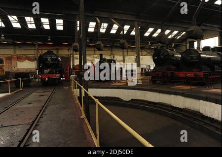 'Tornado', '41708', 'Butler Henderson' und '8217' im Rundhaus. Stockfoto