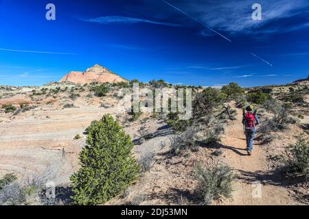 Wandern im Red Rock State Park, in der Nähe von Gallup in Arizona. Stockfoto