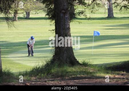 Belleisle Seafield Golf Course and Park, South Ayrshire, Schottland, Großbritannien. Belleisle Estate ist eine beliebte Familienattraktion mit seinem Wildpark, Kinderspielplatz, Waldspaziergänge und formell ummauerten Garten. EIN umfassendes £3.7Mio Programm zur Wiederherstellung Belleisle Estate begann im Jahr 2014, nachdem das Projekt eine £1.9Mio Zuschuss aus dem Heritage Lottery Fund gesichert. Das Anwesen verfügt auch über zwei öffentliche 18-Loch-Golfplätze von Herrn James Braid entworfen, (vertreten durch eine geschnitzte Holzstatue ) das neu restaurierte Golf-Clubhaus ist für die Öffentlichkeit zugänglich und bietet Café und Toiletten Stockfoto