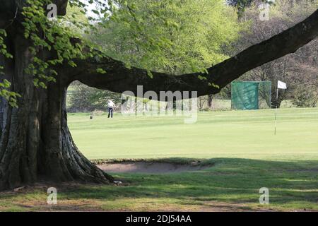 Belleisle Seafield Golf Course and Park, South Ayrshire, Schottland, Großbritannien. Belleisle Estate ist eine beliebte Familienattraktion mit seinem Wildpark, Kinderspielplatz, Waldspaziergänge und formell ummauerten Garten. EIN umfassendes £3.7Mio Programm zur Wiederherstellung Belleisle Estate begann im Jahr 2014, nachdem das Projekt eine £1.9Mio Zuschuss aus dem Heritage Lottery Fund gesichert. Das Anwesen verfügt auch über zwei öffentliche 18-Loch-Golfplätze von Herrn James Braid entworfen, (vertreten durch eine geschnitzte Holzstatue ) das neu restaurierte Golf-Clubhaus ist für die Öffentlichkeit zugänglich und bietet Café und Toiletten Stockfoto