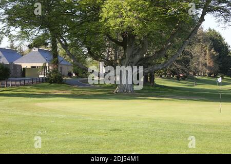 Belleisle Seafield Golf Course and Park, South Ayrshire, Schottland, Großbritannien. Belleisle Estate ist eine beliebte Familienattraktion mit seinem Wildpark, Kinderspielplatz, Waldspaziergänge und formell ummauerten Garten. EIN umfassendes £3.7Mio Programm zur Wiederherstellung Belleisle Estate begann im Jahr 2014, nachdem das Projekt eine £1.9Mio Zuschuss aus dem Heritage Lottery Fund gesichert. Das Anwesen verfügt auch über zwei öffentliche 18-Loch-Golfplätze von Herrn James Braid entworfen, (vertreten durch eine geschnitzte Holzstatue ) das neu restaurierte Golf-Clubhaus ist für die Öffentlichkeit zugänglich und bietet Café und Toiletten Stockfoto