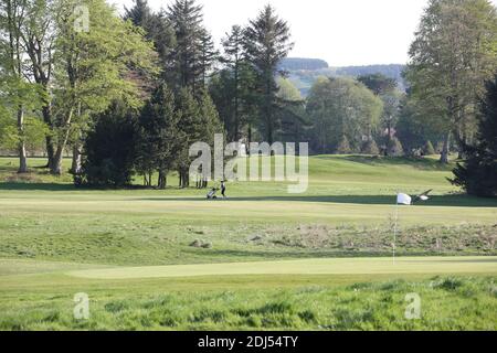 Belleisle Seafield Golf Course and Park, South Ayrshire, Schottland, Großbritannien. Belleisle Estate ist eine beliebte Familienattraktion mit seinem Wildpark, Kinderspielplatz, Waldspaziergänge und formell ummauerten Garten. EIN umfassendes £3.7Mio Programm zur Wiederherstellung Belleisle Estate begann im Jahr 2014, nachdem das Projekt eine £1.9Mio Zuschuss aus dem Heritage Lottery Fund gesichert. Das Anwesen verfügt auch über zwei öffentliche 18-Loch-Golfplätze von Herrn James Braid entworfen, (vertreten durch eine geschnitzte Holzstatue ) das neu restaurierte Golf-Clubhaus ist für die Öffentlichkeit zugänglich und bietet Café und Toiletten Stockfoto