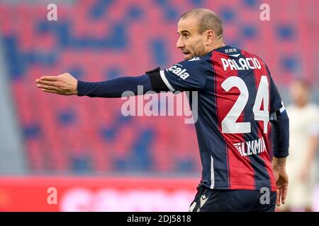 Bologna, Italien. Dezember 2020. Bologna, Italien, Dall'Ara Stadion, 13. Dezember 2020, Rodrigo Palacio (Bologna) Gesten während Bologna FC vs AS Roma - Italienische Fußball Serie A Spiel Credit: Ettore Griffoni/LPS/ZUMA Wire/Alamy Live News Stockfoto