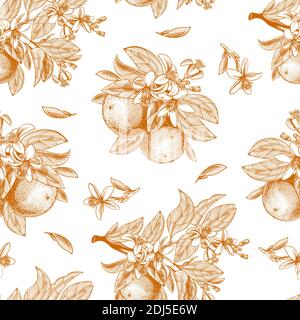Vektor nahtlose Muster mit Tinte Hand gezeichnet orange Früchte, Blätter, Zweige und blühende Blumen. Botanische Zeichnung Skizze von tropischen Zitrusfrüchten für Saft Verpackung, Etikett, Menü in Gravur Vintage-Stil Stock Vektor