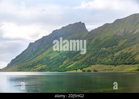 Norwegen Landschaft mit Fjord, Berge, Wald in Lofoten, Norwegen Stockfoto