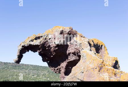 Der Elefantenfelsen in der Nähe von Castelsardo in Sardinien, Italien Stockfoto