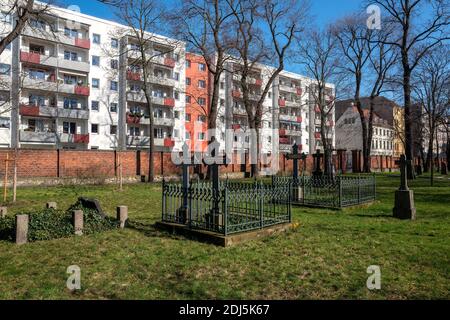 Krokussen Blühen Auf Dem Garnisonfriedhof In Berlin Stockfoto