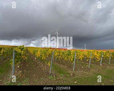 Landschaft vor EINEM Sturm in Rheinhessen, Weinberge und Windkraftanlagen, Alzey County Stockfoto