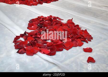 Herz aus roten Rosenblättern auf dem Boden auf weiß Tüll Stockfoto