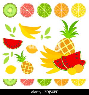 Ein Satz von farbigen isolierten Hälften von köstlichen Früchten. Saftiges, helles, köstliches tropisches Essen. Limette, Zitrone, Grapefruit, Orange, Kiwi, ein Bündel b Stock Vektor