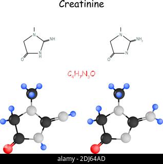 Kreatinin. Chemische Strukturformel und Modell des Moleküls. Vektorgrafik Stock Vektor