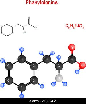 Phenylalanin ist eine essentielle Aminosäure. Chemische Strukturformel und Modell des Moleküls C9H11NO2. Vektorgrafik für den pädagogischen, medizinischen Gebrauch Stock Vektor