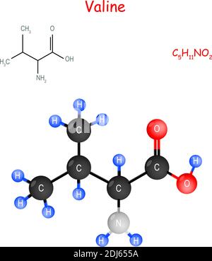 Valin ist eine essentielle Aminosäure. Chemische Strukturformel und Modell des Moleküls. C5H11NO2. Vektorgrafik für den pädagogischen, medizinischen Gebrauch Stock Vektor