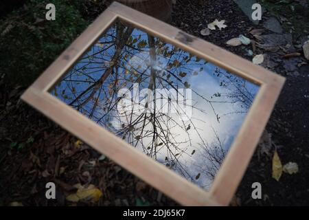 Herbstblätter spiegeln sich auf Glas mit blauem Himmel im Hintergrund Stockfoto