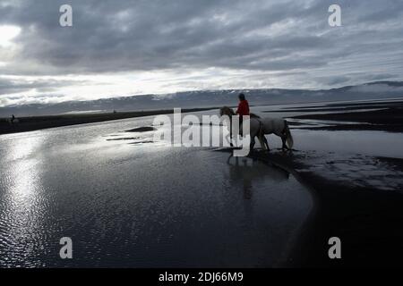 Island / Ostisland/Husey/ der Bauernhof bietet kurze und lange Wanderungen zu Pferd in Richtung Dünen und Meer.' Stockfoto