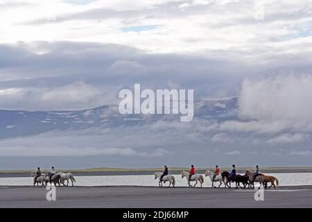 Island / Ostisland/Husey/ der Bauernhof bietet kurze und lange Wanderungen zu Pferd in Richtung Dünen und Meer.' Stockfoto