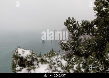 Wacholderzweige und Zapfen unter Schnee und Eis, an bewölkten verschneiten Tagen. Juniperus chinensis. Winterzeit. wacholderbeeren unter Schnee. Das Konzept von Stockfoto