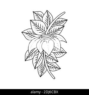 Handgezeichnetes Blumenornament in schwarz und weiß. Erwachsene Malbuch Seite Design. Vektorgrafik. Zendoodle-Muster. Stock Vektor