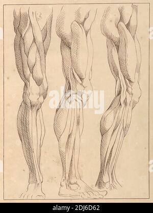 Anatomic Studies of Legs, 13. Oktober 1716, Hamlet Winstanley, 1698–1756, British, 1716, Stift und braune Tinte; rückseitig: Graphit auf Medium, leicht strukturiert, cremefarbenes Papier, Blatt: 12 1/8 × 7 3/4 Zoll (30.8 × 19.7 cm) und Einband: 13 Zoll (33 cm) Stockfoto