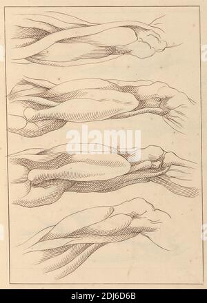 Anatomic Studies of Legs, 10. Oktober 1716, Hamlet Winstanley, 1698–1756, British, 1716, Stift und braune Tinte auf Medium, leicht strukturiert, cremefarbenes Papier, Blatt: 12 1/8 × 7 3/4 Zoll (30.8 × 19.7 cm) und Bindung: 13 Zoll (33 cm) Stockfoto