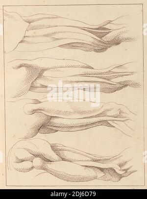 Anatomic Studies of Legs, 14. Oktober 1716, Hamlet Winstanley, 1698–1756, British, 1716, Stift und braune Tinte auf Medium, leicht strukturiert, cremefarbenes Papier, Blatt: 12 1/8 × 7 3/4 Zoll (30.8 × 19.7 cm) und Bindung: 13 Zoll (33 cm) Stockfoto