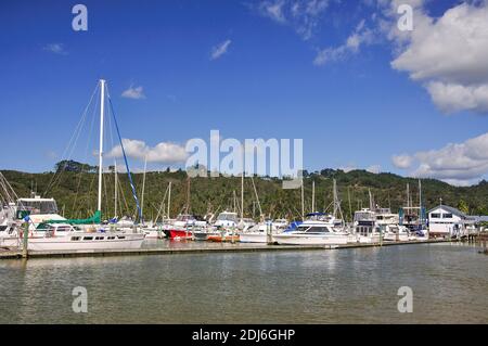 Bootshafen, Whitianga Harbour, Whitianga, Mercury Bay, Coromandel Peninsula, Region Waikato, Nordinsel, Neuseeland Stockfoto