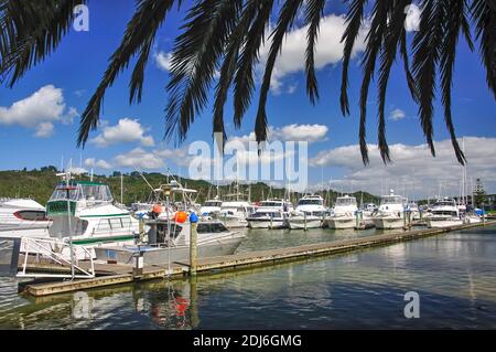 Bootshafen, Whitianga Harbour, Whitianga, Mercury Bay, Coromandel Halbinsel, Region Waikato, Nordinsel, Neuseeland Stockfoto