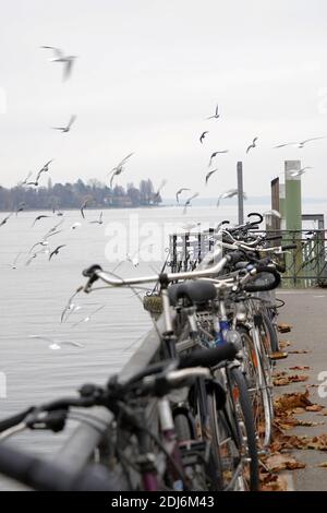 Geparkte Fahrräder am Bodensee in Deutschland. Auf dem Hintergrund fliegen Möwen. Hafenmole in der Stadt Konstanz mit auf Geländern verschlossenen Fahrrädern. Stockfoto