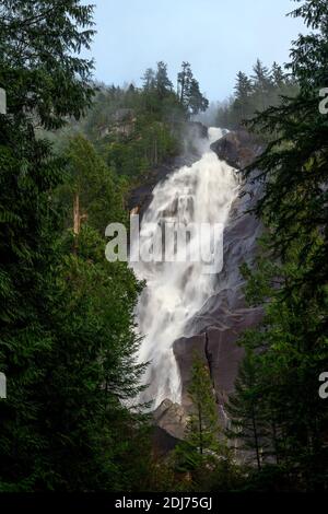 Shannon Falls in voller Kraft, im Shannon Falls Provincial Park in Squamish, British Columbia, Kanada Stockfoto