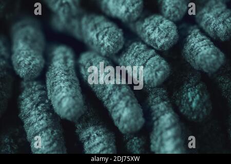 Mikrofasertuch Oberflächenstruktur Makro in Tidewater Green 2021 Farbtrends. Stockfoto