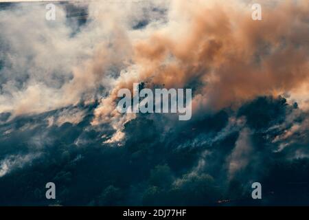 Feuer im Wald, brennende Bäume und Gras mit Rauch, Luftaufnahme von der Drohne. Naturbrand oder Lauffeuer. Stockfoto