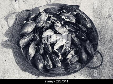 Frisch gekochte Muscheln in Metallschale am Sandstrand an sonnigen Sommertagen. Blick von oben. Schwarz-Weiß-Retro-Bild. Stockfoto