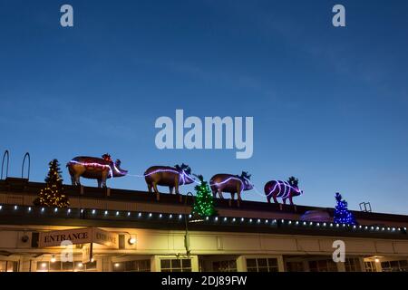 Am Samstag, den 12. Dezember 2020, geht die Sonne auf dem Pike Place Market in Seattle über einer Reihe von bronzenen Schweinen mit Weihnachtsbeleuchtung unter. Stockfoto