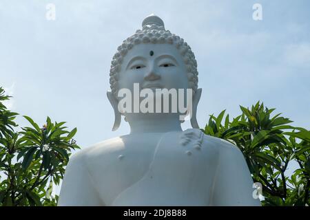 Detail der Stein Buddha Statue. Nahaufnahme des Gesichts von buddha-Bild mit schönen grünen Blättern im Vordergrund, blauen Himmel Hintergrund und das Licht aus dem Stockfoto