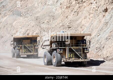 Riesige Muldenkipper, die die Kupfermine Chuquicamata, die nach Volumen größte der Welt, Chile, in Betrieb nehmen. Stockfoto