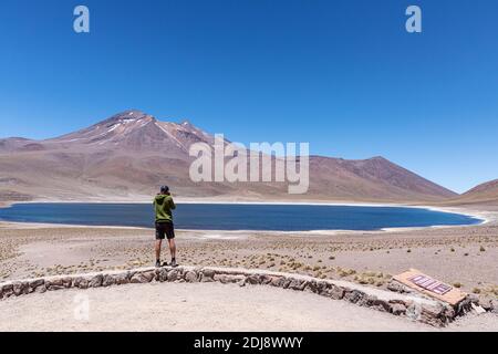 Laguna Miñiques, ein Brackensee auf einer Höhe von 4,120 Metern in der Anden-Zentralvulkanischen Zone, Chile. Stockfoto