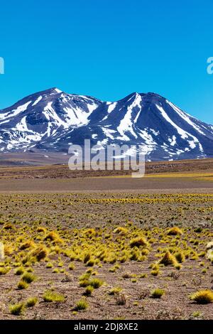 Stratovulkane in der Anden-Zentralvulkanischen Zone, Antofagasta Region, Chile. Stockfoto