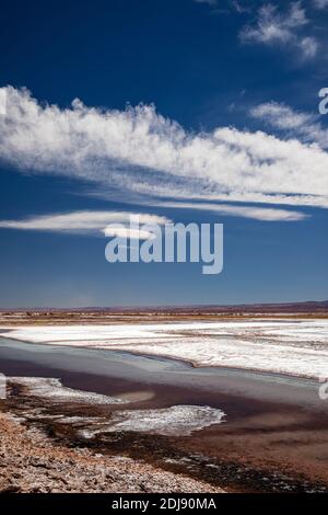 Laguna Tebenquicne, eine Salzwasserlagune im Salar de Atacama, Nationalpark Los Flamencos, Chile. Stockfoto