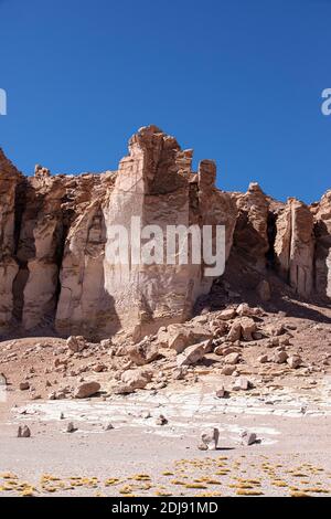 Steinformationen in Salar de Tara y Aguas Calientes I, Nationalpark Los Flamencos, Region Antofagasta, Chile. Stockfoto