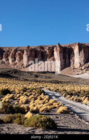 Steinformationen in Salar de Tara y Aguas Calientes I, Nationalpark Los Flamencos, Region Antofagasta, Chile. Stockfoto