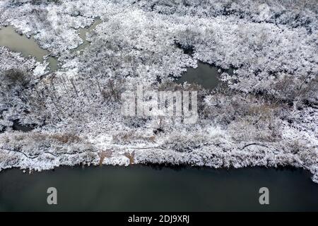 Schneebedeckte Seeufer im Winter. Luftaufnahme von oben Drohne Stockfoto