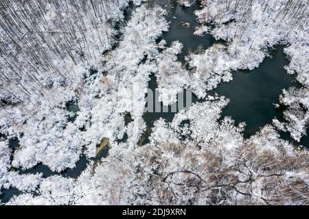 Ländliche Gegend mit Sumpf bedeckt von Schnee. Winterlandschaft von Drohne Stockfoto