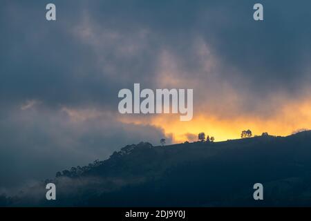 Am Rande des Nebelwaldes bei Sonnenuntergang, Mindo, Ecuador. Stockfoto