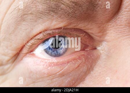 Man Makroauge. Makrofotografie des menschlichen Auges Stockfoto