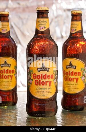 Flaschen von Golden Glory Ale von Badger Breweries Stockfoto