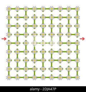 Buntes quadratisches Labyrinth mit Blumen. Entwicklungsspiel für Kinder. Einfache flache Vektorgrafiken isoliert auf weißem Hintergrund. Stock Vektor