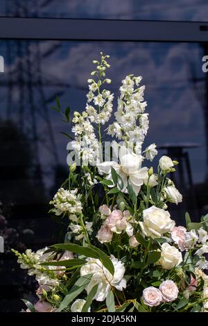 Beeindruckendes floristisches Bouquet von weißen Rosen und Delphinium - grün Drehen Stockfoto